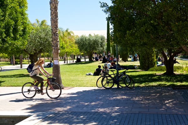Campus der Universidad de Alicante