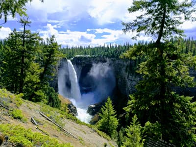 Imposanter Wasserfall inmitten von leuchtend grünem Wald
