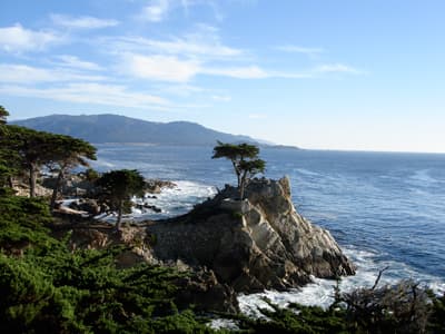 Eine einsame Zypresse auf einem Felsen in der Brandung bei Monterey
