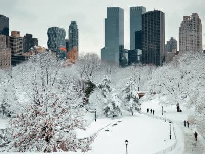 Der Central Park im Winter mit der New Yorker Skyline im Hintergrund