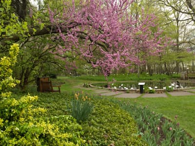 Im Beal Botanical Garden der Michigan State University (USA)