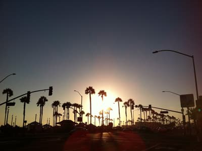 Von Palmen gesäumte Straße in Kalifornien (USA)