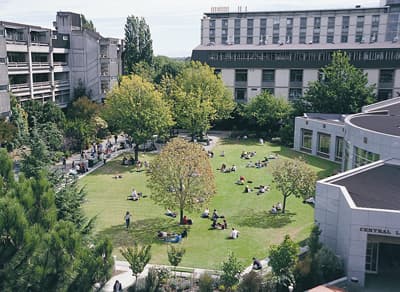 Grüner Campus der University of Canterbury aus der Vogelperspektive