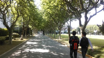 Weg zur Fudan University