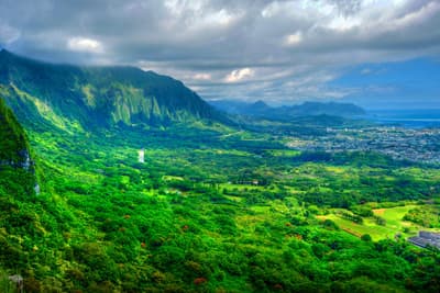 Die grüne Vulkanlandschaft auf Hawai'i