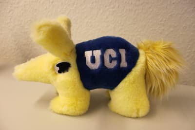 Maskottchen der UC Irvine als Plüschtier