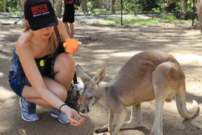 Känguru-Füttern in einem Wildlife Sanctuary in Australien