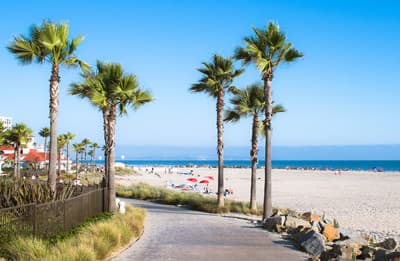 Strand und Palmen in Südkalifornien