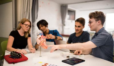 Sportstudenten arbeiten mit einem anatomischen Modell