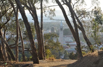 Aussicht auf den Sather Tower der UC Berkeley in der San Francisco Bay Area