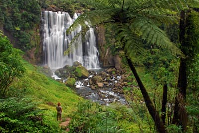 Wasserfall in sehr grüner Umgebung