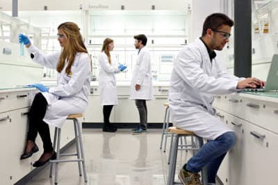 Studenten bei der Arbeit im Labor