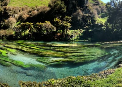 Türkisblaues Gewässer mit sehr klarem Wasser und leuchtend grünen Wasserpflanzen