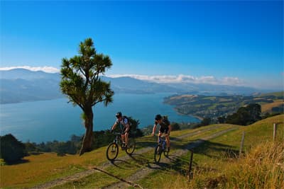 Mountainbiker bei einer Radtour auf der Otago Peninsula mit tollem Blick über die Küste bei Dunedin.