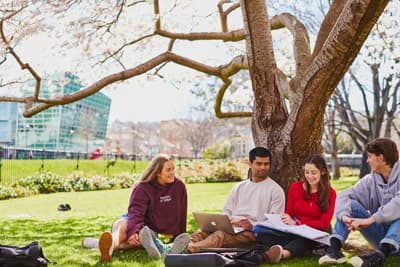 Studenten sitzen an einen Baum gelehnt auf einer Wiese des Campus der University of Otago. Im Hintergrund sieht man moderne Unigebäude.