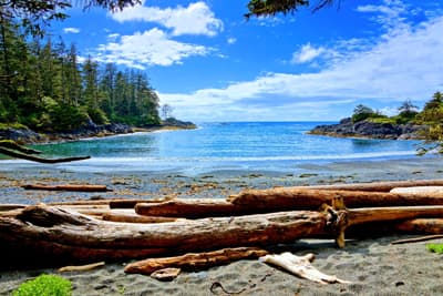 Strand im Pacific Rim National Park auf Vancouver Island mit klarem Wasser und viel Wald.