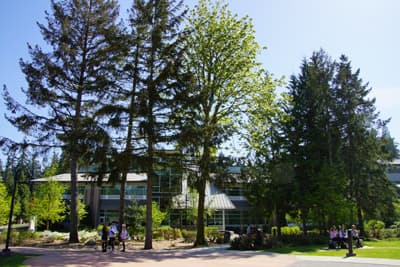 Bäume auf dem Campus des Green River College