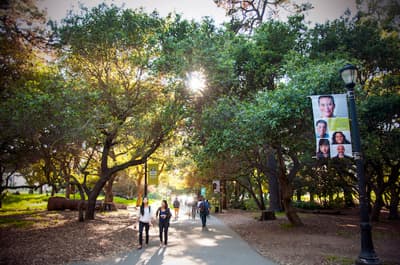 Studierende auf dem Campus der UC Berkeley