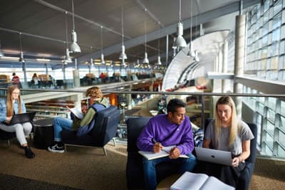Studierende beim Lernen in der Bibliothek der University of Otago