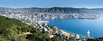 Eine Aussicht auf Wellington und die Bucht von einem Hügel aus