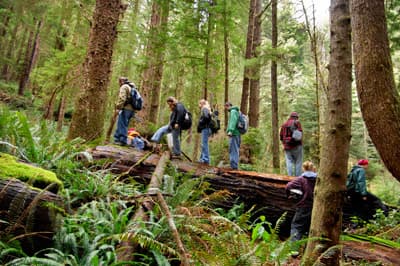 Studierende der Humboldt State University laufen durch einen Wald