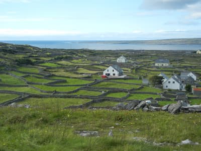 irische Häuser mit ummauerten Wiesen an der Küste