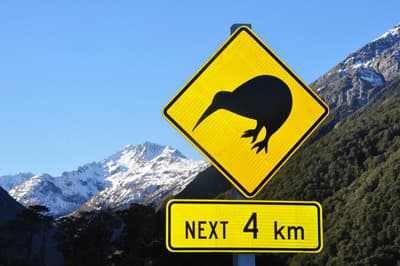 Kiwi-Warnschild in Neuseeland