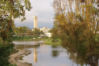 Unigebäude hinter einem mit Grün verwachsenen Teich