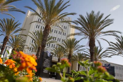 Der palmengeschmückte Campus der CSU Fullerton