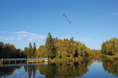 Der Lake Tamblyn Thunder Bay Campus der Lakehead University