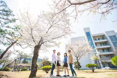 Einige Studenten der HYU unter Kirschblütenbäumen